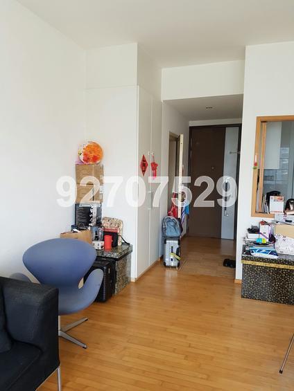 The Levelz (D10), Condominium #136850752